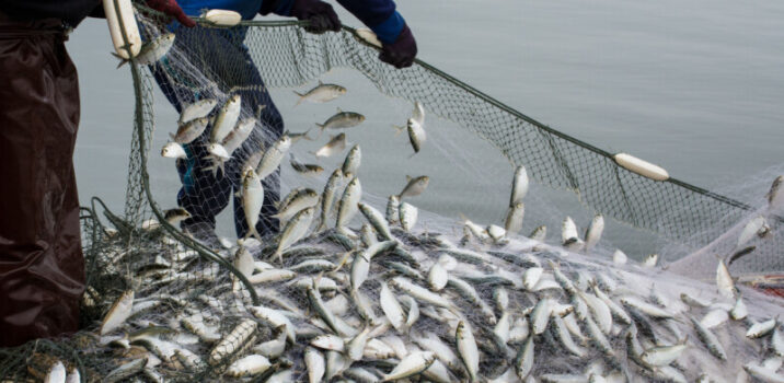 פריצת אבטחה באפליקציית הדיג Fishbrain: נגנבו שמות משתמש וגיבובים של סיסמאות